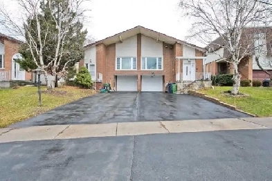 Basement Apartment One Bedrm One Living One Bathrm Separat Entra Image# 9