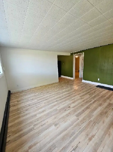 2 bedroom 1 bath apartment Image# 3
