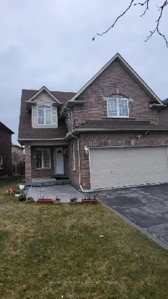 Amazing - For Rent In Scarborough - Bright & Spacious Image# 1