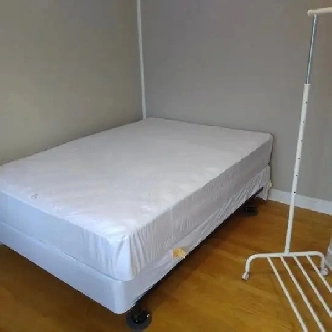 July 1-Merivale/Baseline-Furn-10m/Walk-Algonq-30m/Carleton-VIDEO Image# 3