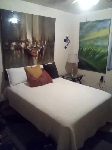 Roommate share accomodations Image# 1