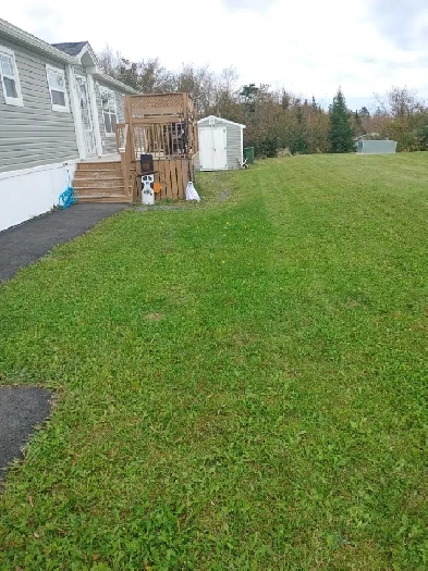 2019 Maple Leaf Mini Home Image# 5