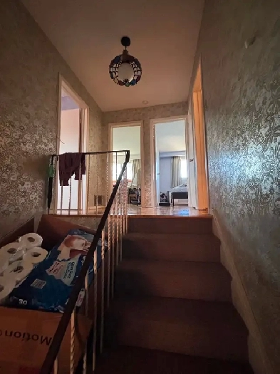 North York 3b1b  upper level house for rent Image# 2