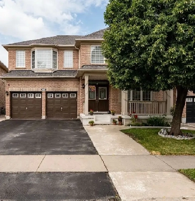 2 Bedrooms and 1 bath with lot of storage space Image# 4