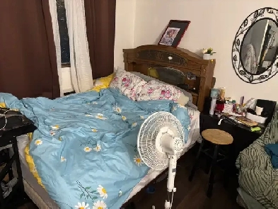 Fully Furnished 1 Bedroom Apartment Image# 3