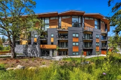 1B1B Apartment Rental Starting from end July Image# 5