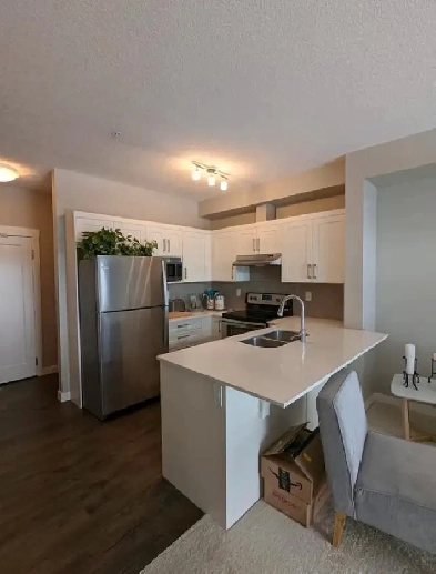 2 Bedroom 1 Bath Apartment Image# 4