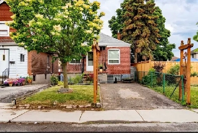 Basement Apartment for Rent Image# 2