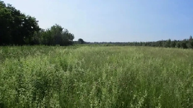 Building lot, 2  acres, Montague Township, outside Smiths Falls Image# 4
