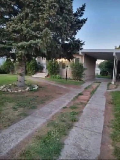 3 bedrooms 2 bath main floor for rent Image# 6