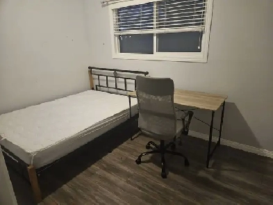 A private room for rent in Calgary, walk to Saddletowne C-train. Image# 1