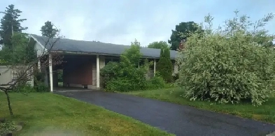 House for rent Image# 4