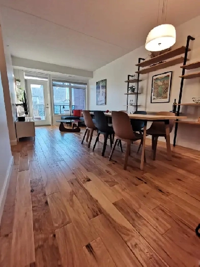Fully furnished 2 Bed 1 Bath Condo Image# 4