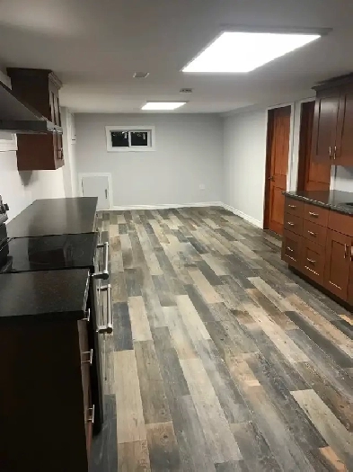 2 bedroom apartment Image# 3