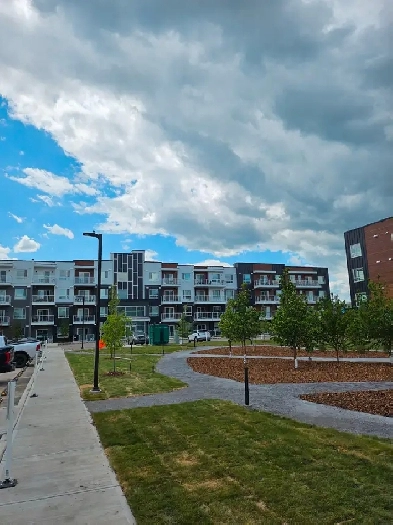 Beauty in Belmont Image# 3