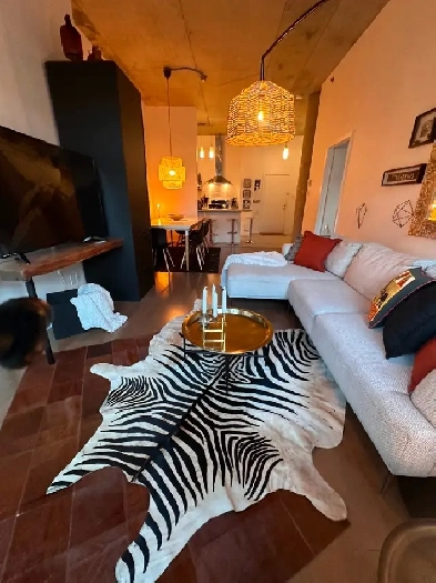 Super Bo apart. Meublé. Beautiful furnished apartment Image# 3