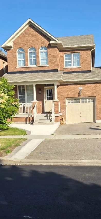 2 Bedroom Legal Basement Apartment 1900 Image# 1