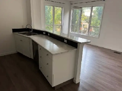 Great 2 Bedroom downtown condo unit for rent $1800 inc utilities Image# 6