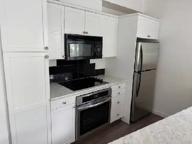 Great 2 Bedroom downtown condo unit for rent $1800 inc utilities Image# 4