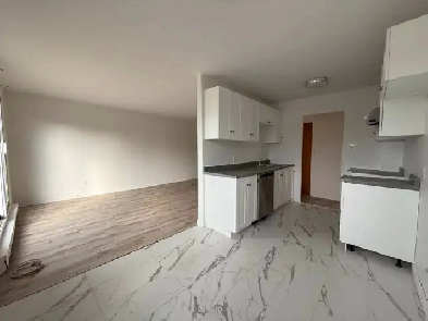 Grand 4 1/2 rénové sur le Boulevard Saint-Martin Est, Duvernay Image# 1