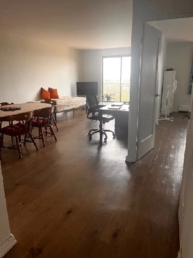 1 bed room 1 bathroom apartment Image# 7