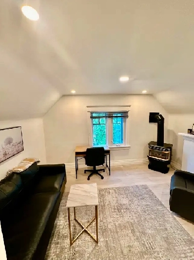 NAIT/Kingsway/Character Loft/Gas Fireplace/Monthly or longterm Image# 7