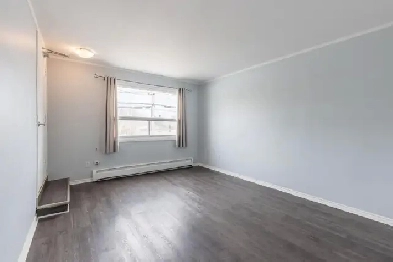 Clean, Affordable 1 bedroom apt for rent in Grimsby! Image# 4