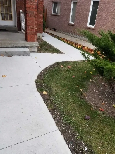 Spacious Basement partment for Rent-$1500pm Mississauga Image# 1