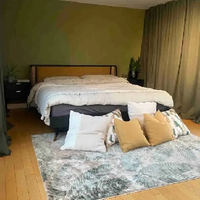 Plateau penthouse condo for Rent Image# 2