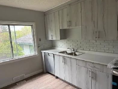Charming 3‑Bedroom Main‑Floor Suite for Rent – 824 9A Street  Image# 5