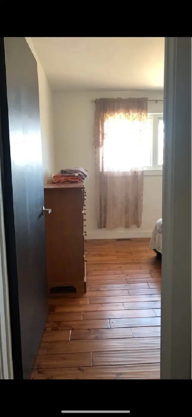 SEEKING QUIET ROOMMATE Image# 1