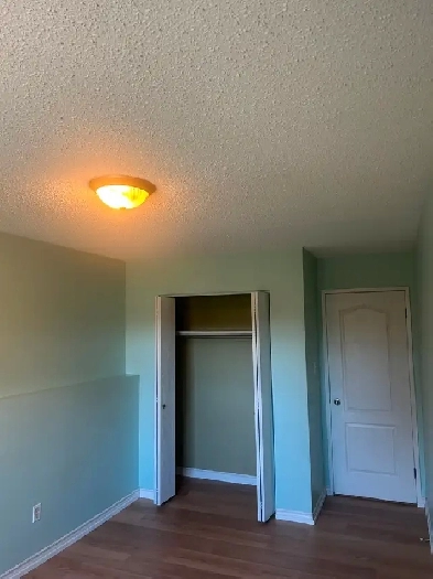 Large Room for Rent $900 Image# 3
