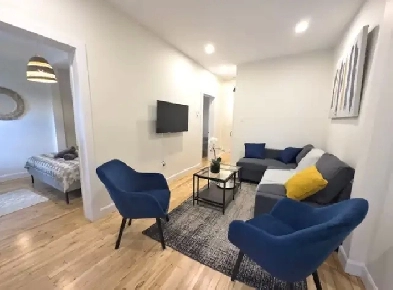 Urgent, grand 4 ½ Meublé et cours privée, à 5min rue Masson Image# 1