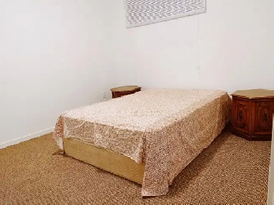 One room available for rent in shared accommodation from july 1s Image# 1