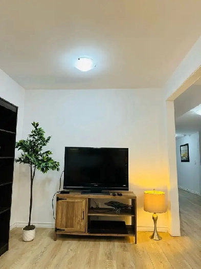 Private Luxury Suite | Fully Furnished 1 bed | 20 Min to Airport Image# 2
