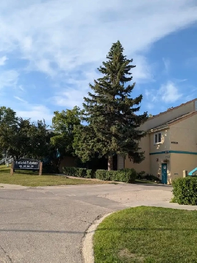 1 bedroom apartment - Enfield Estates Image# 6