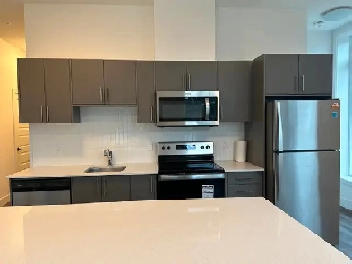 2 Bed, 2 Bath Condo in Waterloo for Rent Image# 3