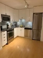 Large basement apartment perfect for UofT students Image# 5