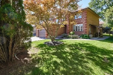 Large Basement! 2 Beds 1 Bath! 1 Parking! Private Laundry! GO st Image# 2