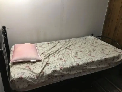 1 Basement Room Next to Warden Subway Available Image# 1