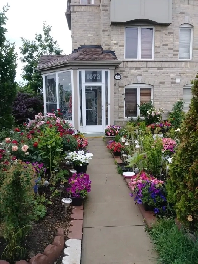 Room for Rent- Sharing Image# 4