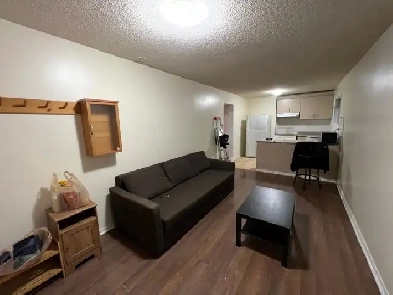 1 Bed, 1 Bath apartment,  Seperate Entrance - HWY 10 Image# 3