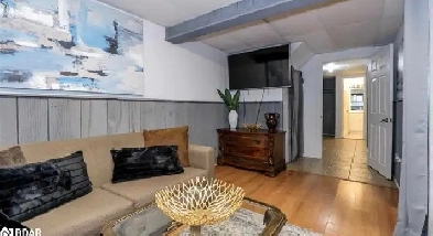 ✨ Bright & Spacious Studio Basement for Rent – Bayfield & Cundl Image# 7