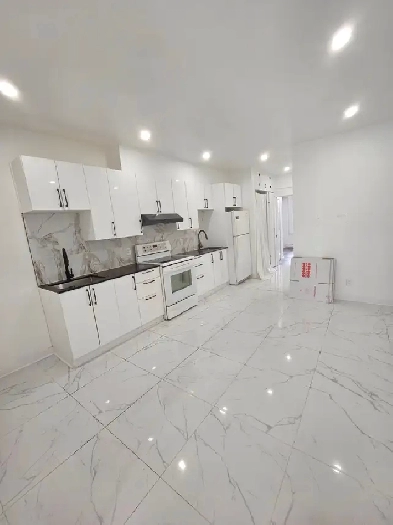 4 1/2 appartement Rénové à louer Plateau-Mont-Royal Image# 10