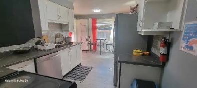 Room for Rent Image# 2