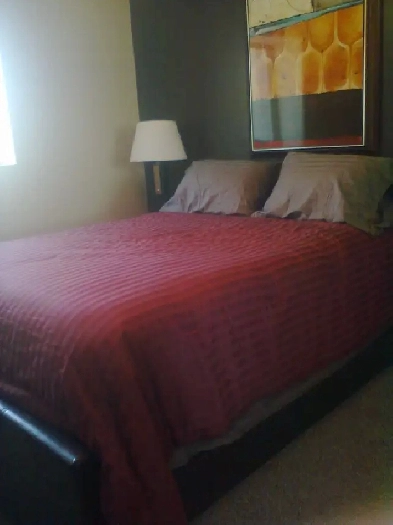 Remodeled One Bedroom Condo for rent August 1 St. Boniface Image# 1