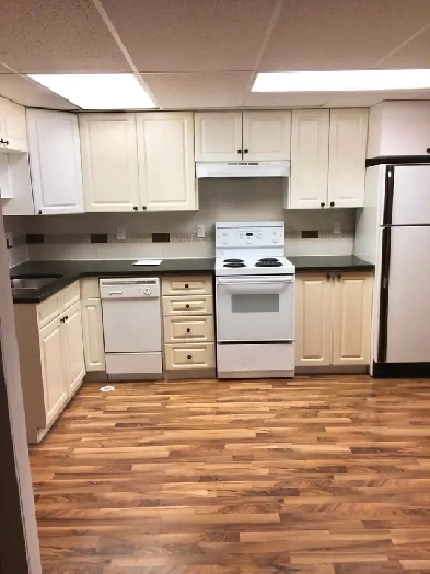 SPRUCE CLIFF inner city 1 bedroom Image# 2