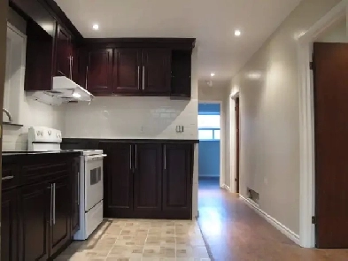 3 Bedroom Trinity Bellwoods Image# 6