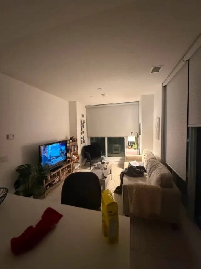 Primary Bedroom Available in the heart of downtown, female only Image# 7