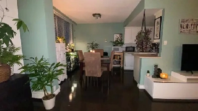 Hidden Gem at Hillside Estates Image# 5